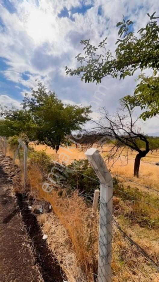 Kuyuluda Satılık 7 Dönüm Sulu Tarla — fotoğraf 10
