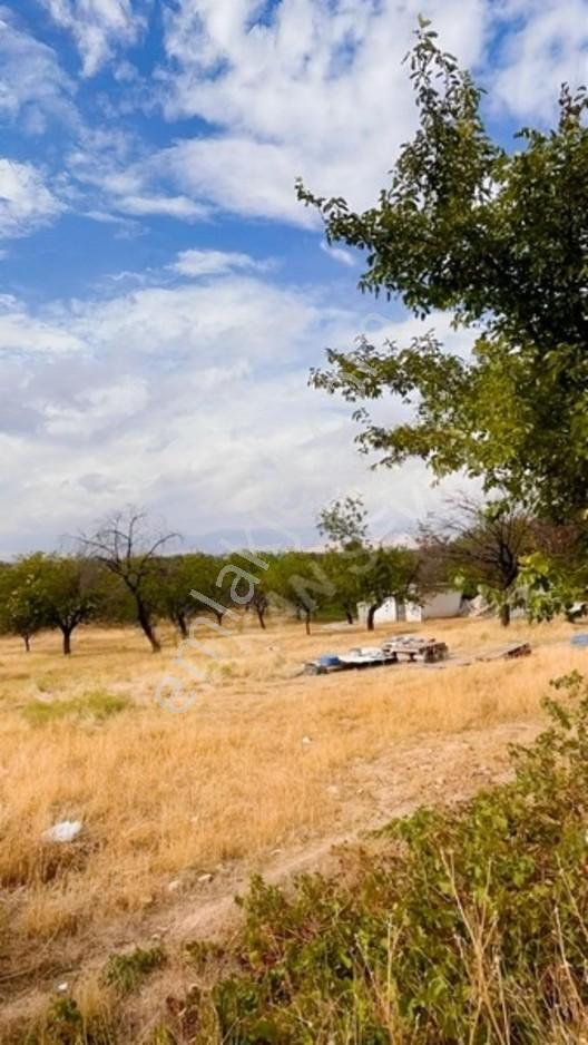 Kuyuluda Satılık 7 Dönüm Sulu Tarla — fotoğraf 12
