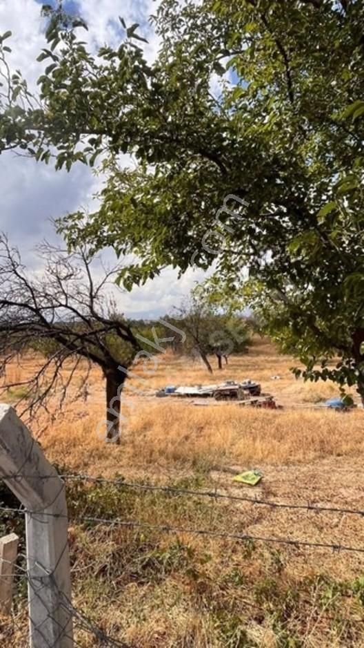 Kuyuluda Satılık 7 Dönüm Sulu Tarla — fotoğraf 13