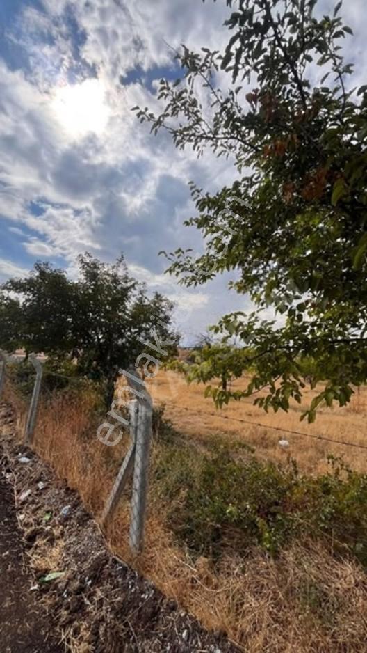 Kuyuluda Satılık 7 Dönüm Sulu Tarla — fotoğraf 14