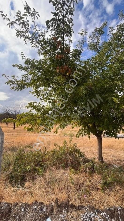 Kuyuluda Satılık 7 Dönüm Sulu Tarla — fotoğraf 15