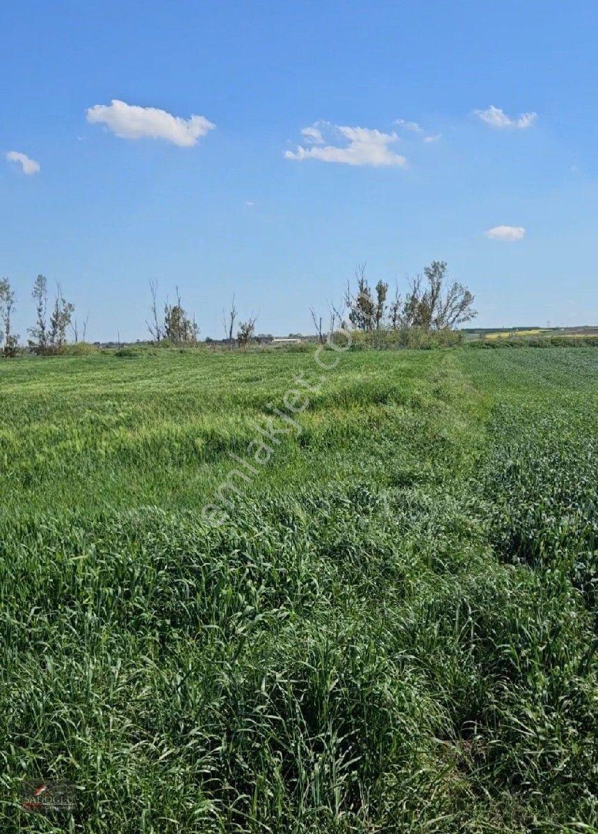 Acil Lüleburgaz Ovacık Köyün'de 4.869 M2 Satılık — fotoğraf 10