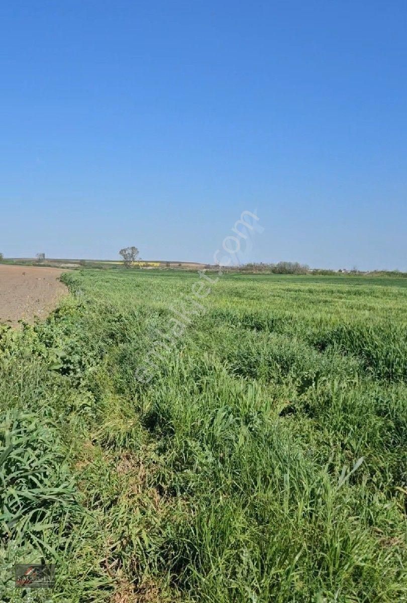 Acil Lüleburgaz Ovacık Köyün'de 4.869 M2 Satılık — fotoğraf 12