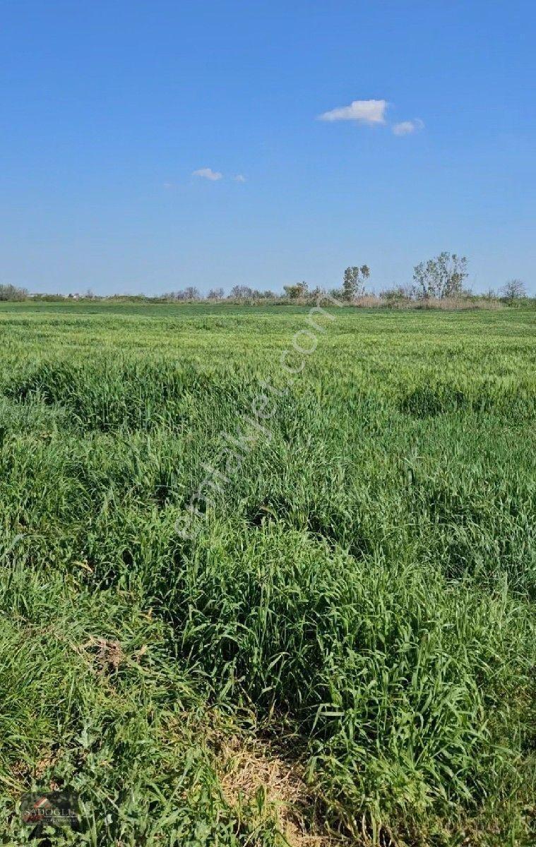 Acil Lüleburgaz Ovacık Köyün'de 4.869 M2 Satılık — fotoğraf 13