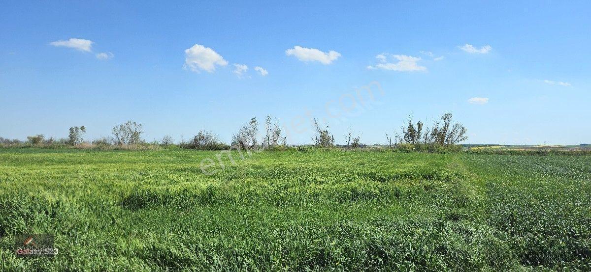 Acil Lüleburgaz Ovacık Köyün'de 4.869 M2 Satılık — fotoğraf 15