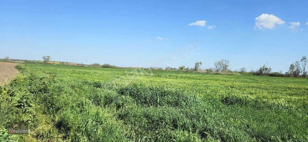 Acil Lüleburgaz Ovacık Köyün'de 4.869 M2 Satılık — fotoğraf 16