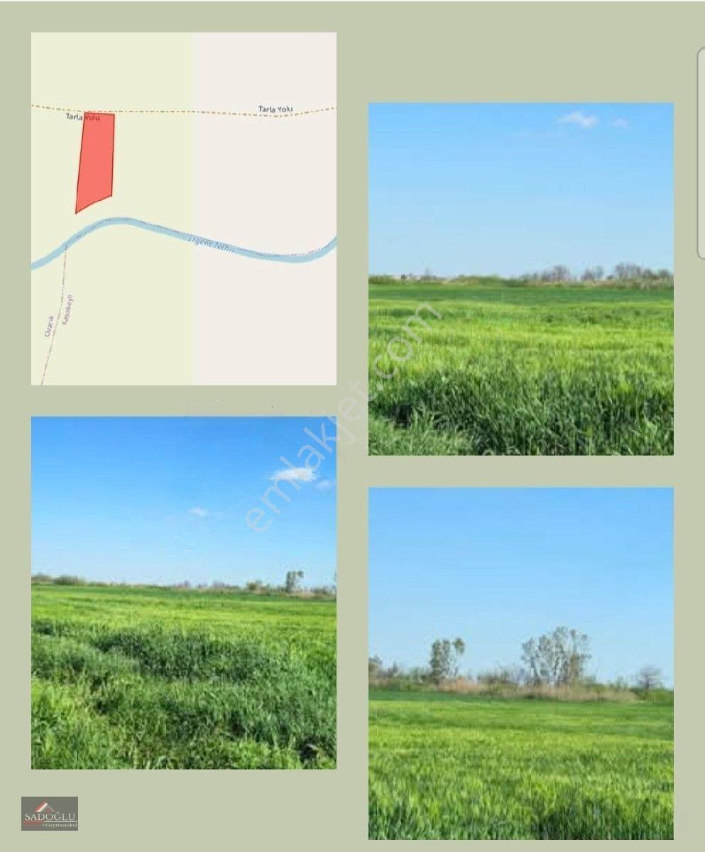 Acil Lüleburgaz Ovacık Köyün'de 4.869 M2 Satılık — fotoğraf 17