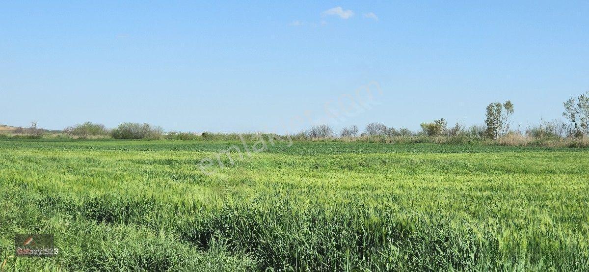 Acil Lüleburgaz Ovacık Köyün'de 4.869 M2 Satılık — fotoğraf 18