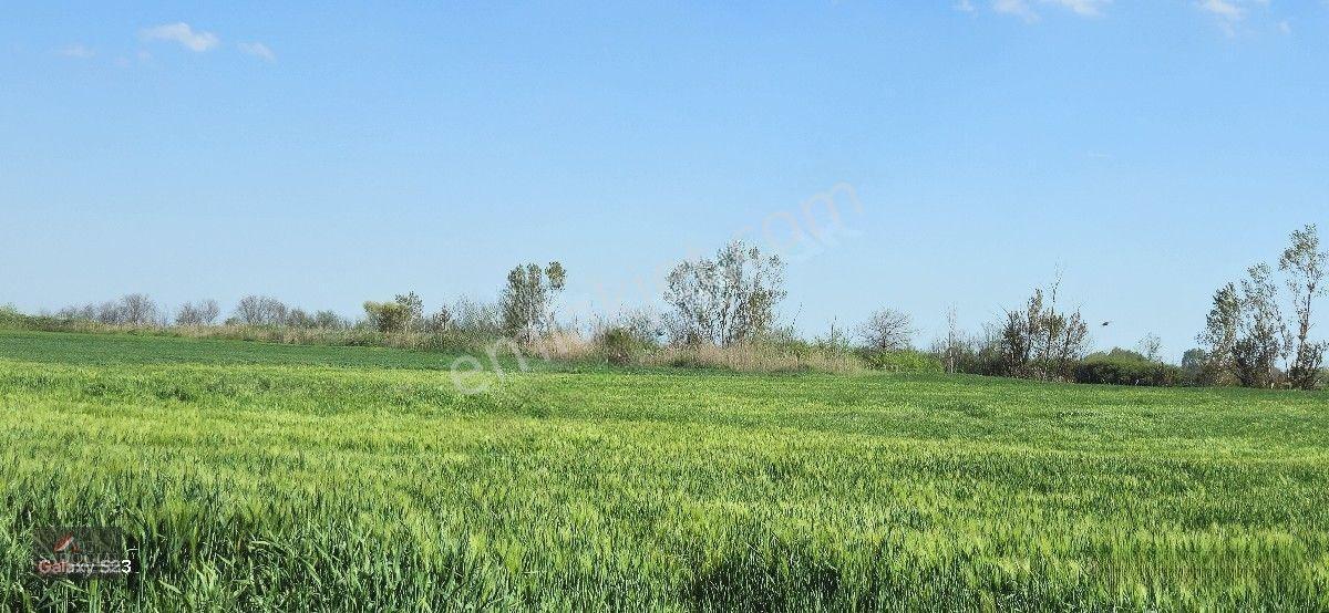Acil Lüleburgaz Ovacık Köyün'de 4.869 M2 Satılık — fotoğraf 19