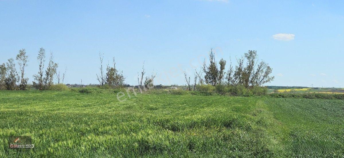 Acil Lüleburgaz Ovacık Köyün'de 4.869 M2 Satılık — fotoğraf 21
