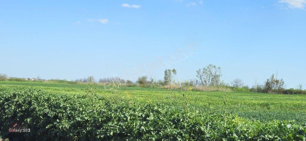 Acil Lüleburgaz Ovacık Köyün'de 4.869 M2 Satılık — fotoğraf 22
