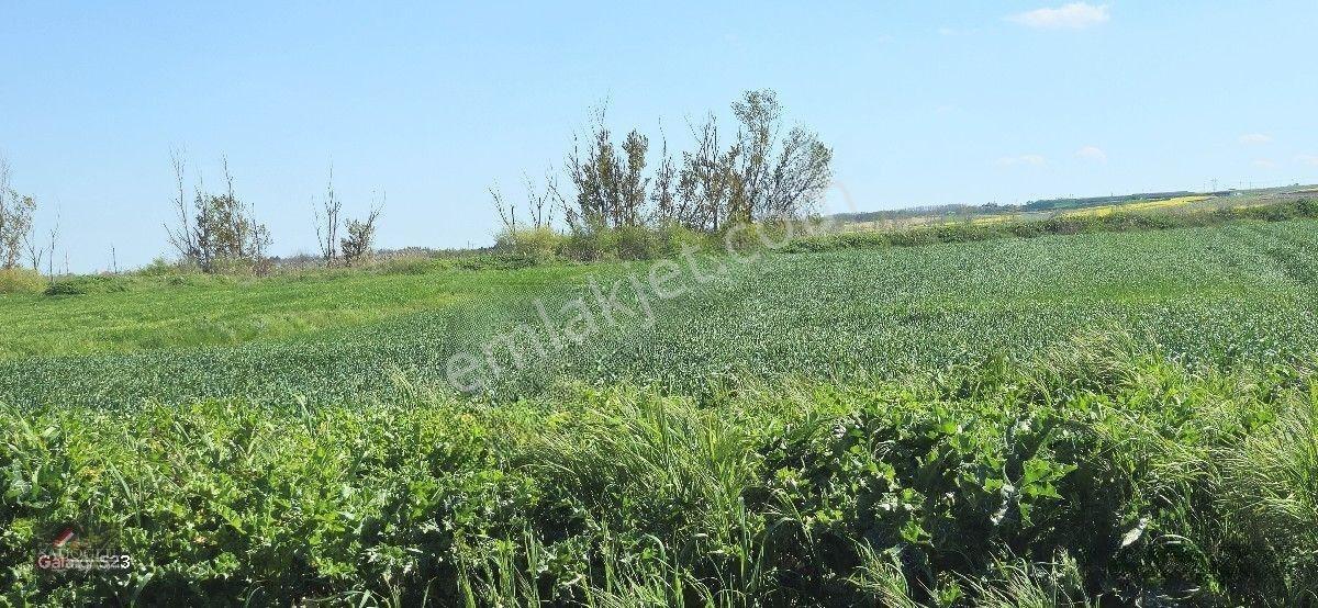 Acil Lüleburgaz Ovacık Köyün'de 4.869 M2 Satılık — fotoğraf 23