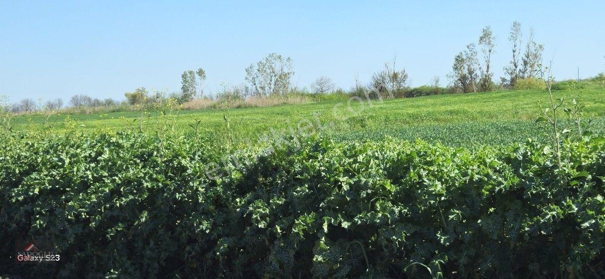 Acil Lüleburgaz Ovacık Köyün'de 4.869 M2 Satılık — fotoğraf 24