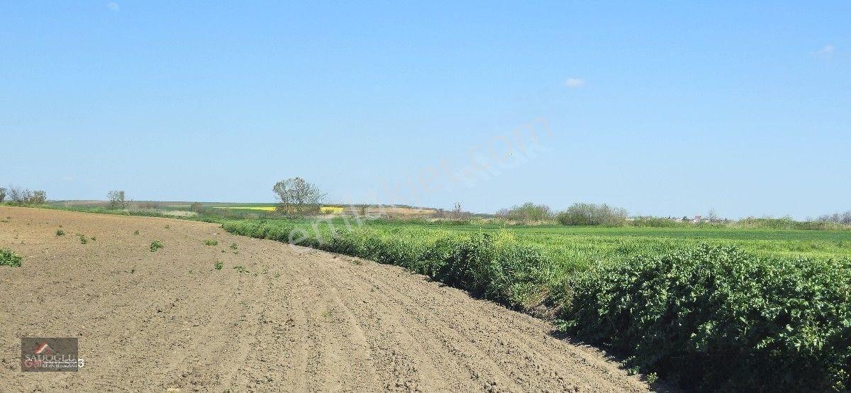 Acil Lüleburgaz Ovacık Köyün'de 4.869 M2 Satılık — fotoğraf 25