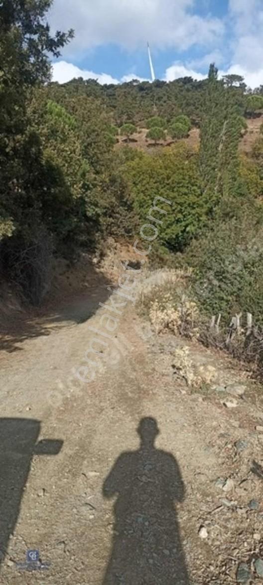 İzmir Bergamada Ev Yapilabilen Ciflik Arazisi — fotoğraf 2