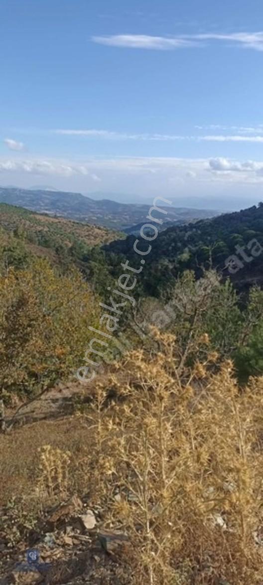 İzmir Bergamada Ev Yapilabilen Ciflik Arazisi — fotoğraf 5