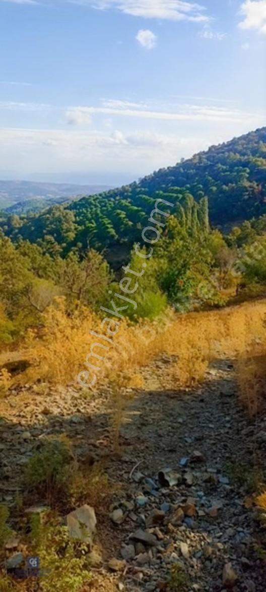 İzmir Bergamada Ev Yapilabilen Ciflik Arazisi — fotoğraf 6