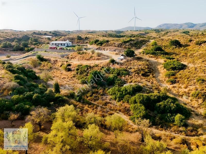 Marinden Reşadiye'de 946 M² Satılık Tarla — fotoğraf 6