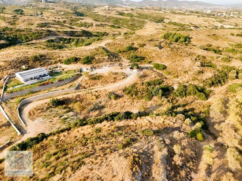 Marinden Reşadiye'de 946 M² Satılık Tarla — fotoğraf 9
