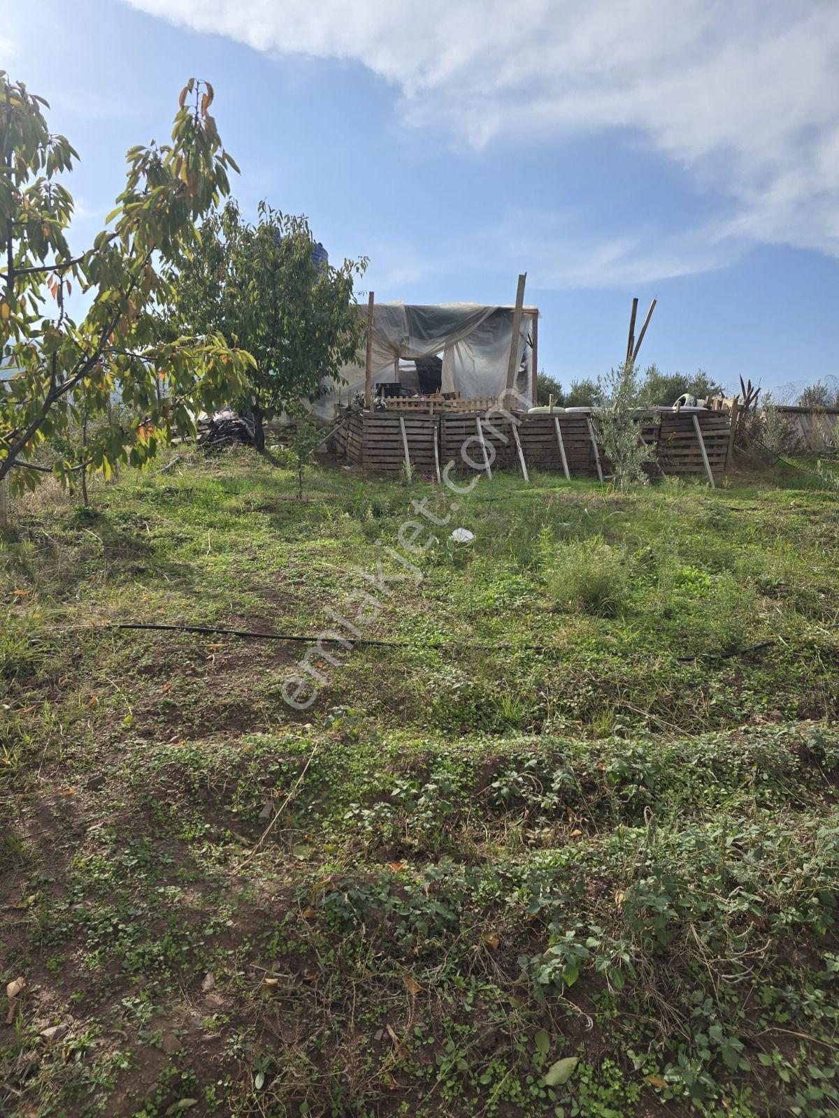 Salihli Gökköy Mahallesinde 2350 Mt2 Satılık İmarlı Anayola Cepheli Arsa — fotoğraf 6