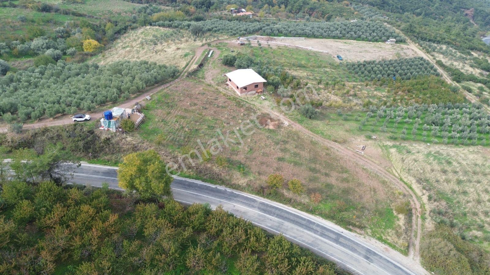Salihli Gökköy Mahallesinde 2350 Mt2 Satılık İmarlı Anayola Cepheli Arsa — fotoğraf 7