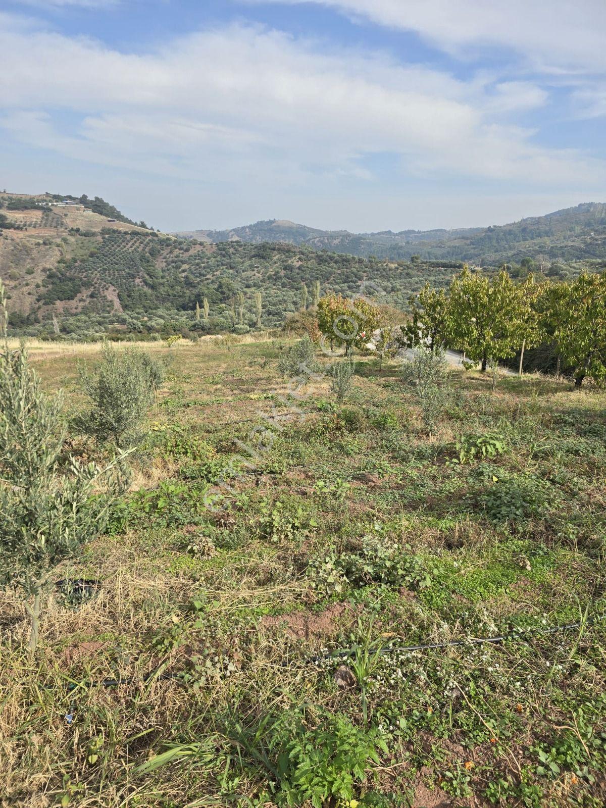 Salihli Gökköy Mahallesinde 2350 Mt2 Satılık İmarlı Anayola Cepheli Arsa — fotoğraf 8