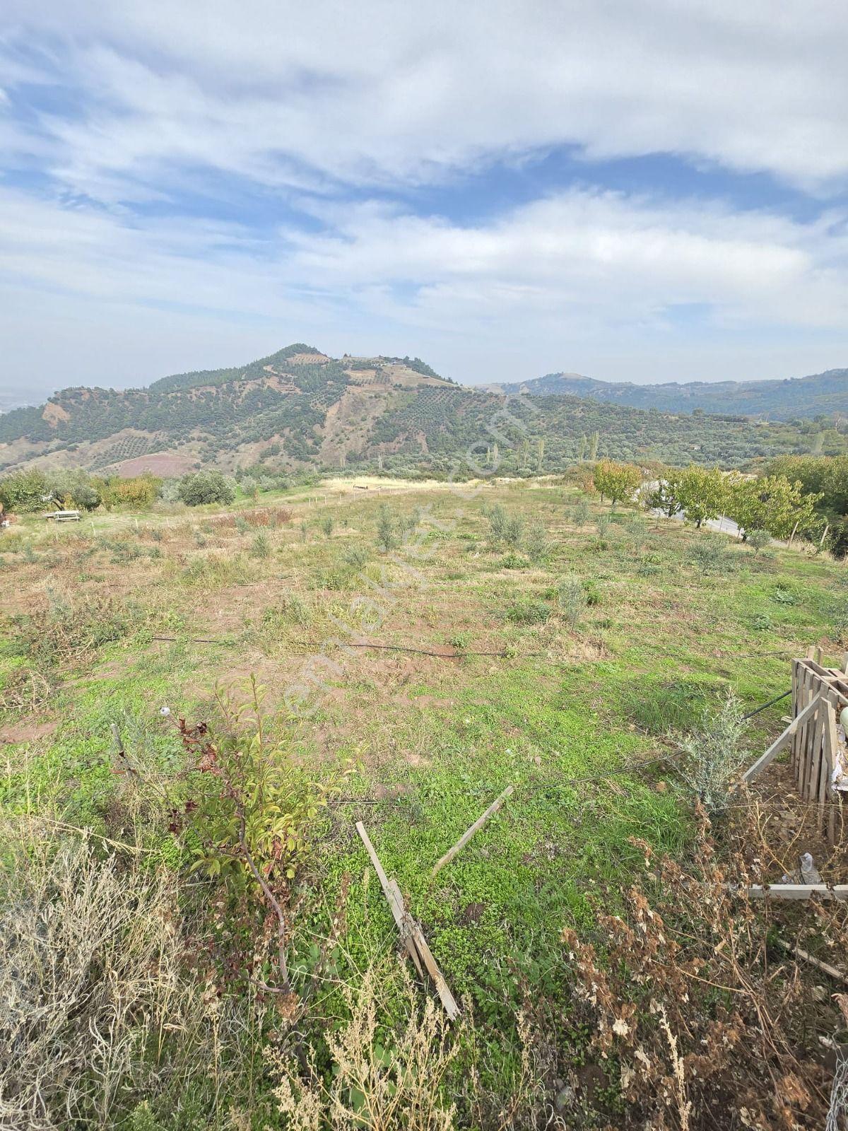 Salihli Gökköy Mahallesinde 2350 Mt2 Satılık İmarlı Anayola Cepheli Arsa — fotoğraf 11