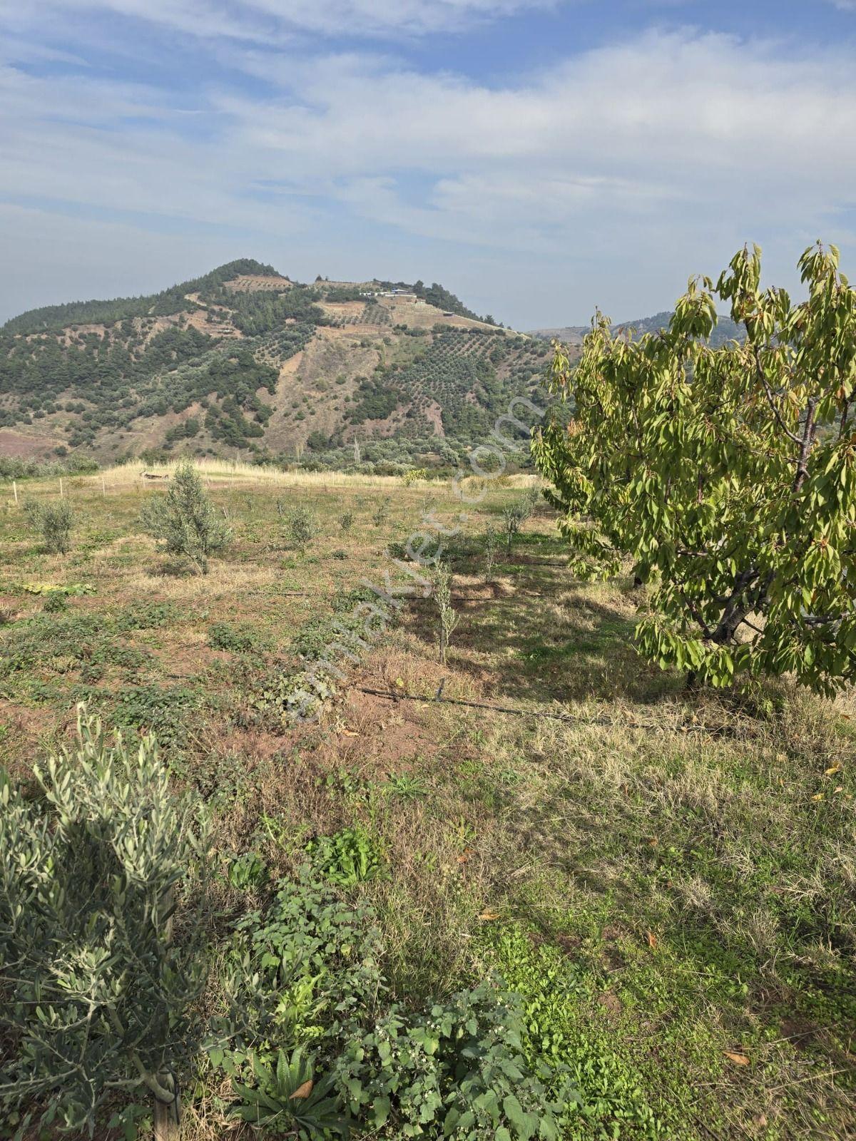 Salihli Gökköy Mahallesinde 2350 Mt2 Satılık İmarlı Anayola Cepheli Arsa — fotoğraf 21