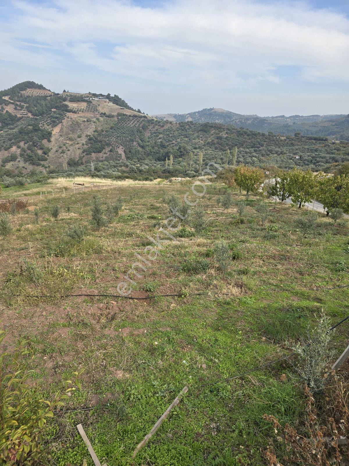Salihli Gökköy Mahallesinde 2350 Mt2 Satılık İmarlı Anayola Cepheli Arsa — fotoğraf 25