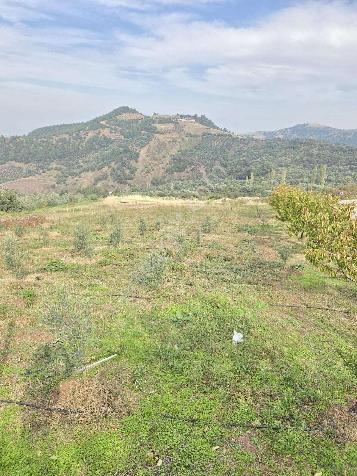Salihli Gökköy Mahallesinde 2350 Mt2 Satılık İmarlı Anayola Cepheli Arsa — fotoğraf 28