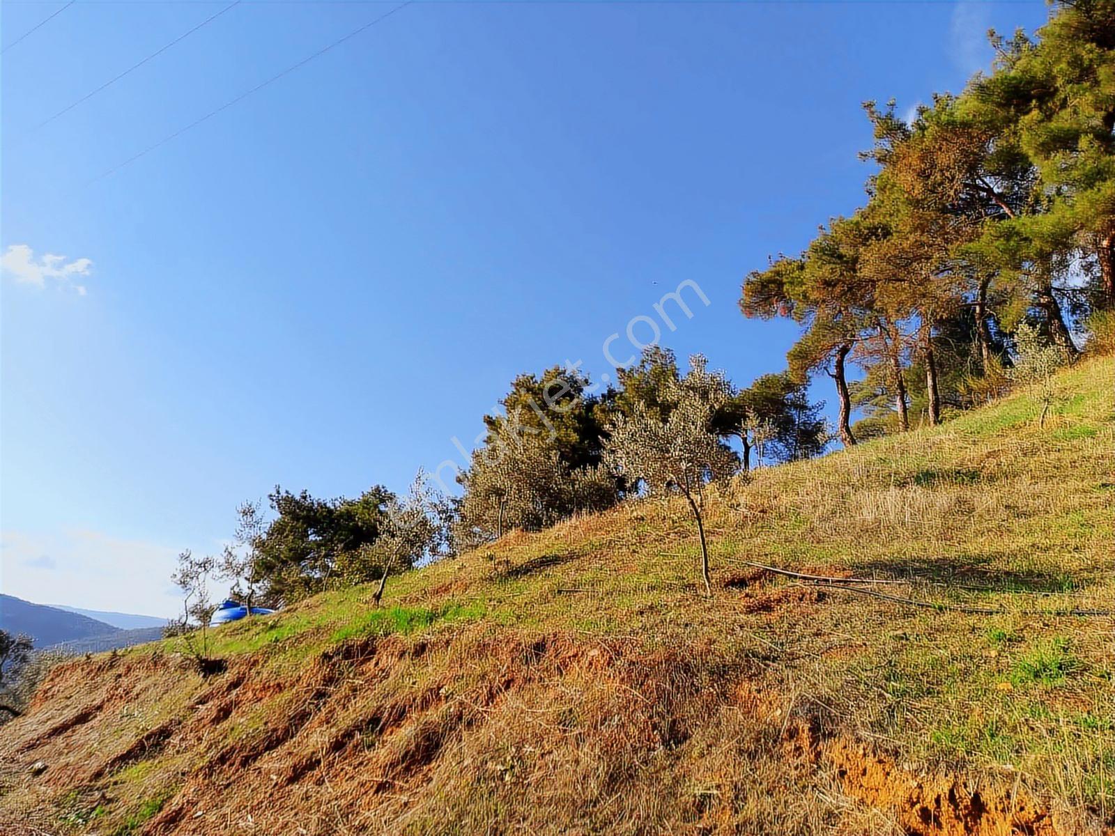 İzmir Ödemişte Satılık Fırsat Arsa — fotoğraf 7