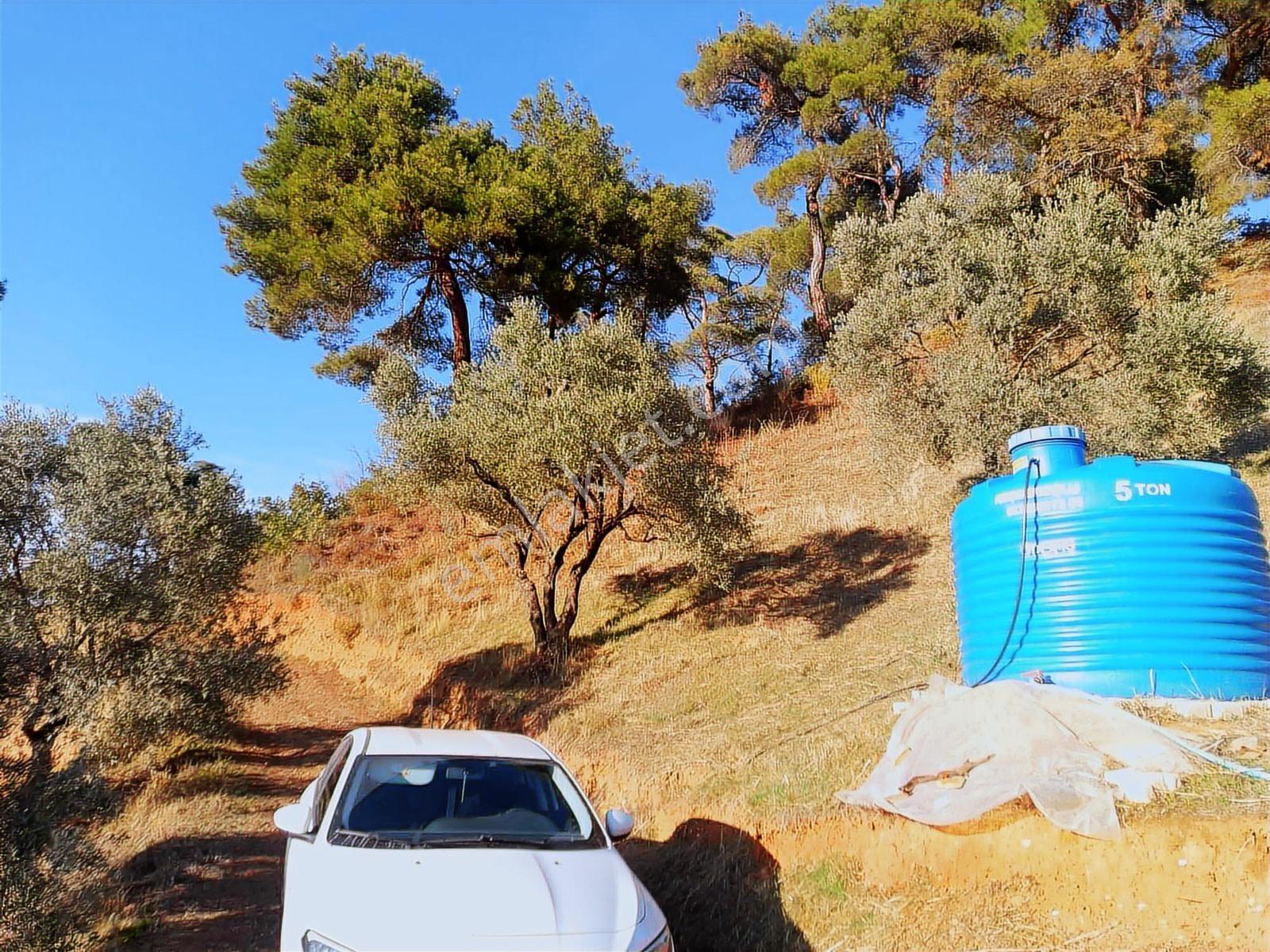 İzmir Ödemişte Satılık Fırsat Arsa — fotoğraf 8