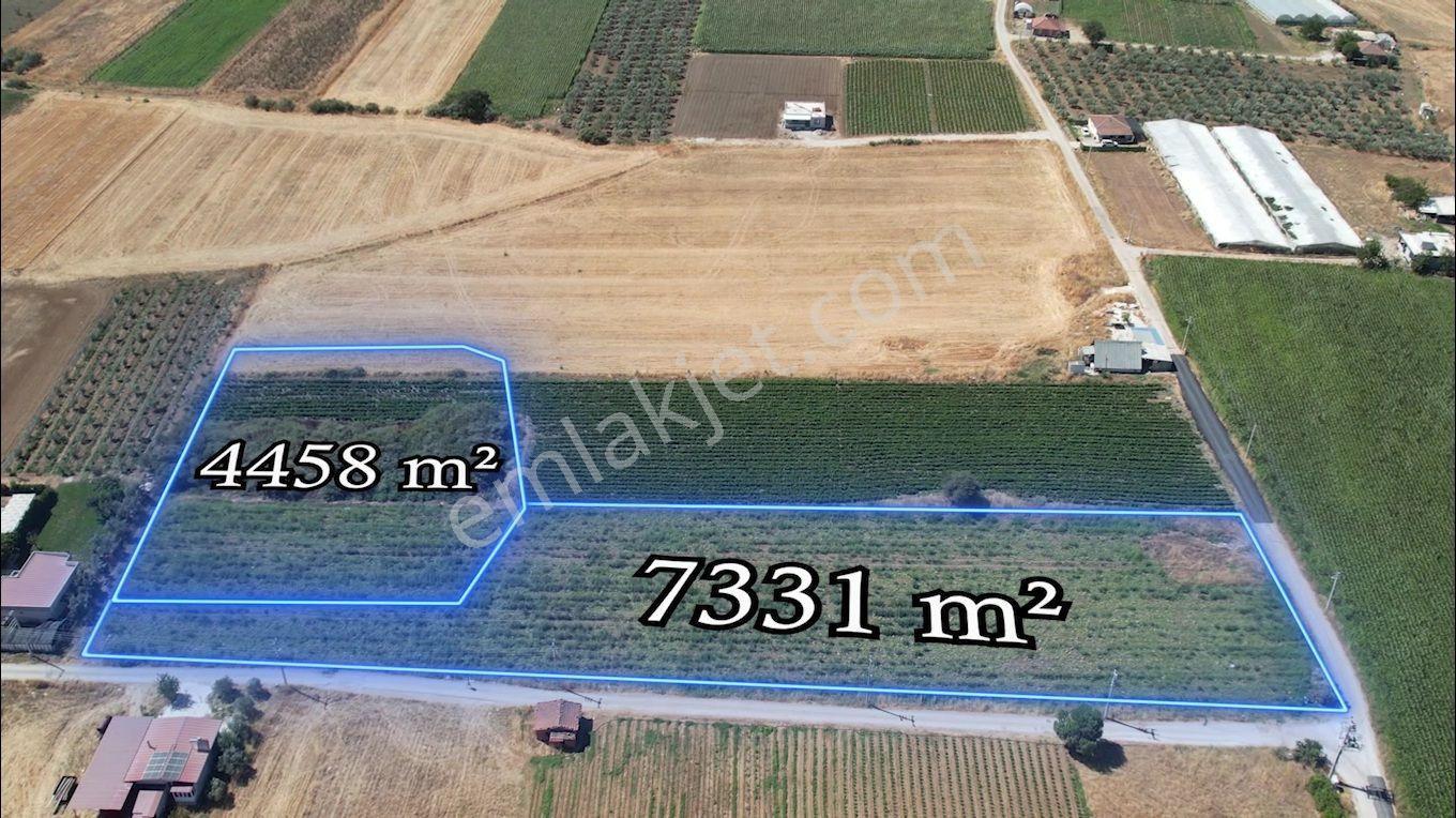 Remax Armadan Hisseli Fiyatına, Tek Tapu 2 Adet Satılık Tarla — fotoğraf 2