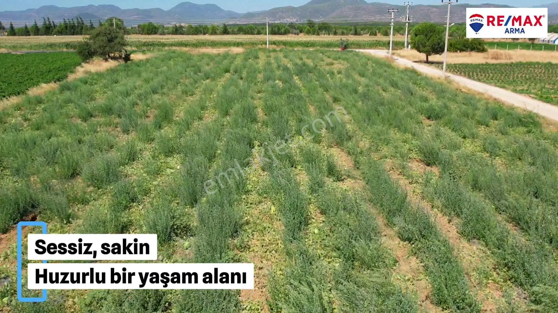 Remax Armadan Hisseli Fiyatına, Tek Tapu 2 Adet Satılık Tarla — fotoğraf 5