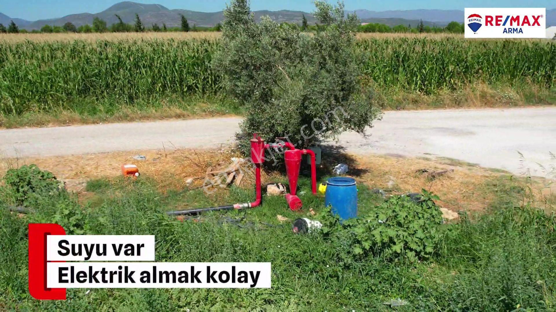 Remax Armadan Hisseli Fiyatına, Tek Tapu 2 Adet Satılık Tarla — fotoğraf 6