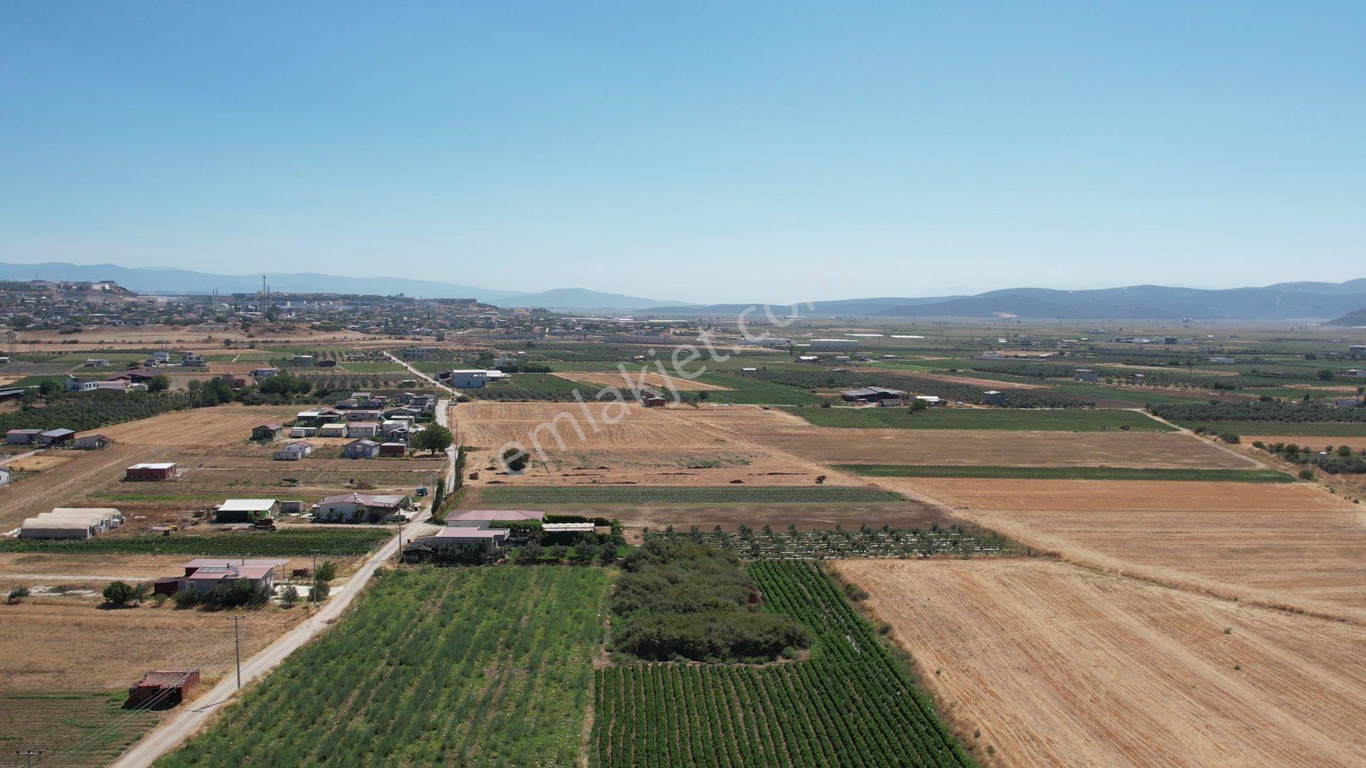 Remax Armadan Hisseli Fiyatına, Tek Tapu 2 Adet Satılık Tarla — fotoğraf 7