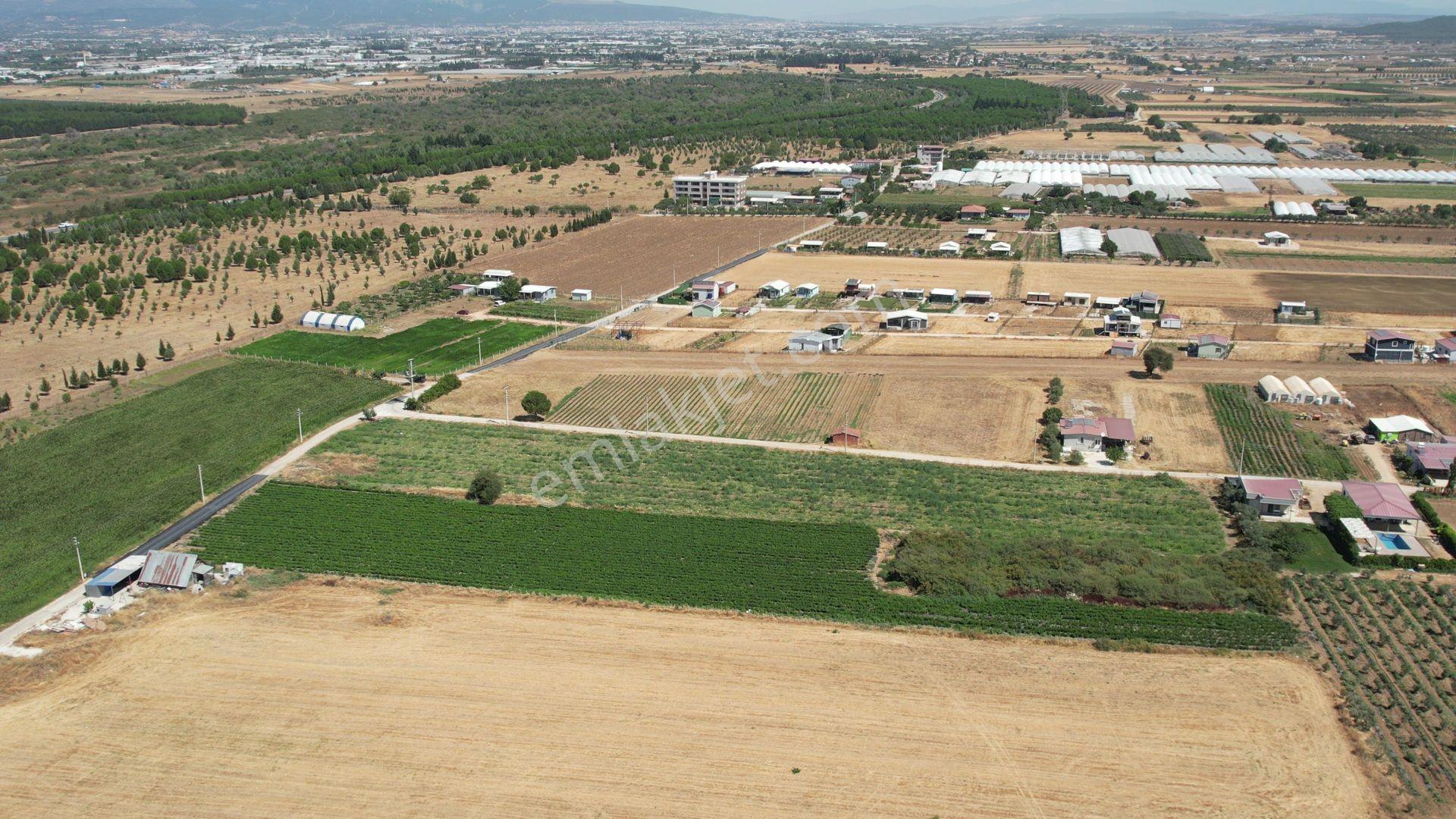 Remax Armadan Hisseli Fiyatına, Tek Tapu 2 Adet Satılık Tarla — fotoğraf 8