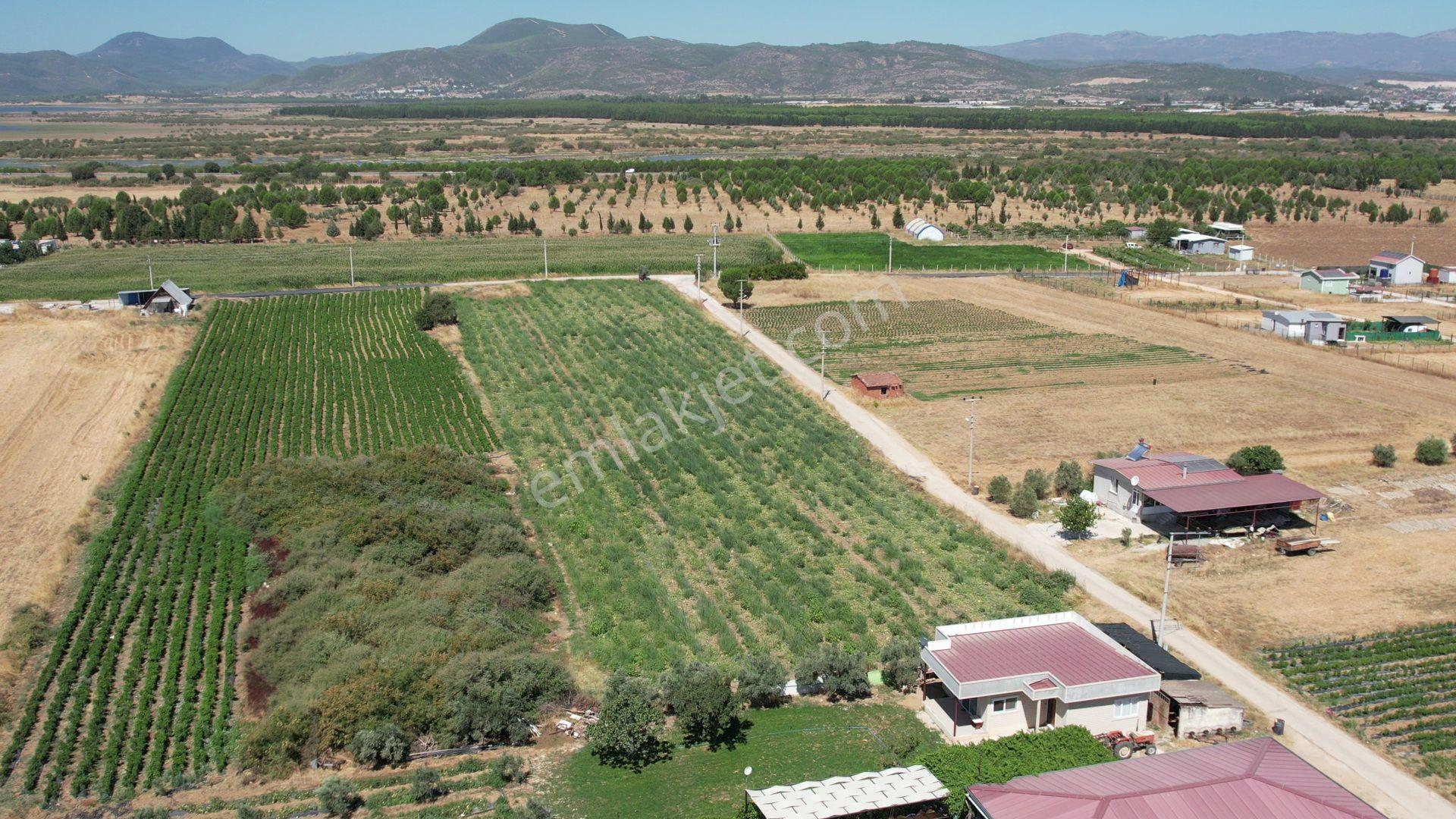 Remax Armadan Hisseli Fiyatına, Tek Tapu 2 Adet Satılık Tarla — fotoğraf 9