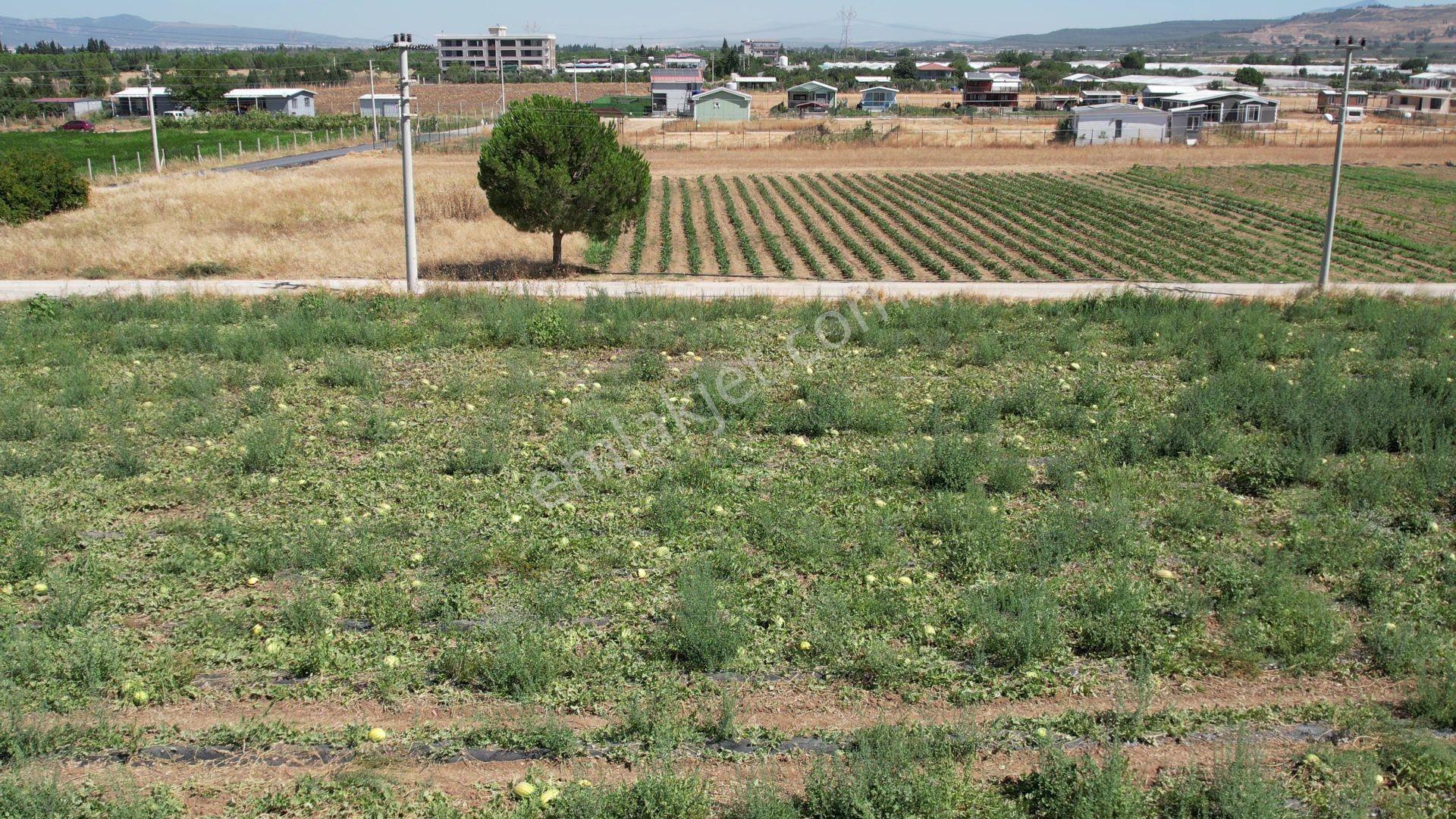 Remax Armadan Hisseli Fiyatına, Tek Tapu 2 Adet Satılık Tarla — fotoğraf 10