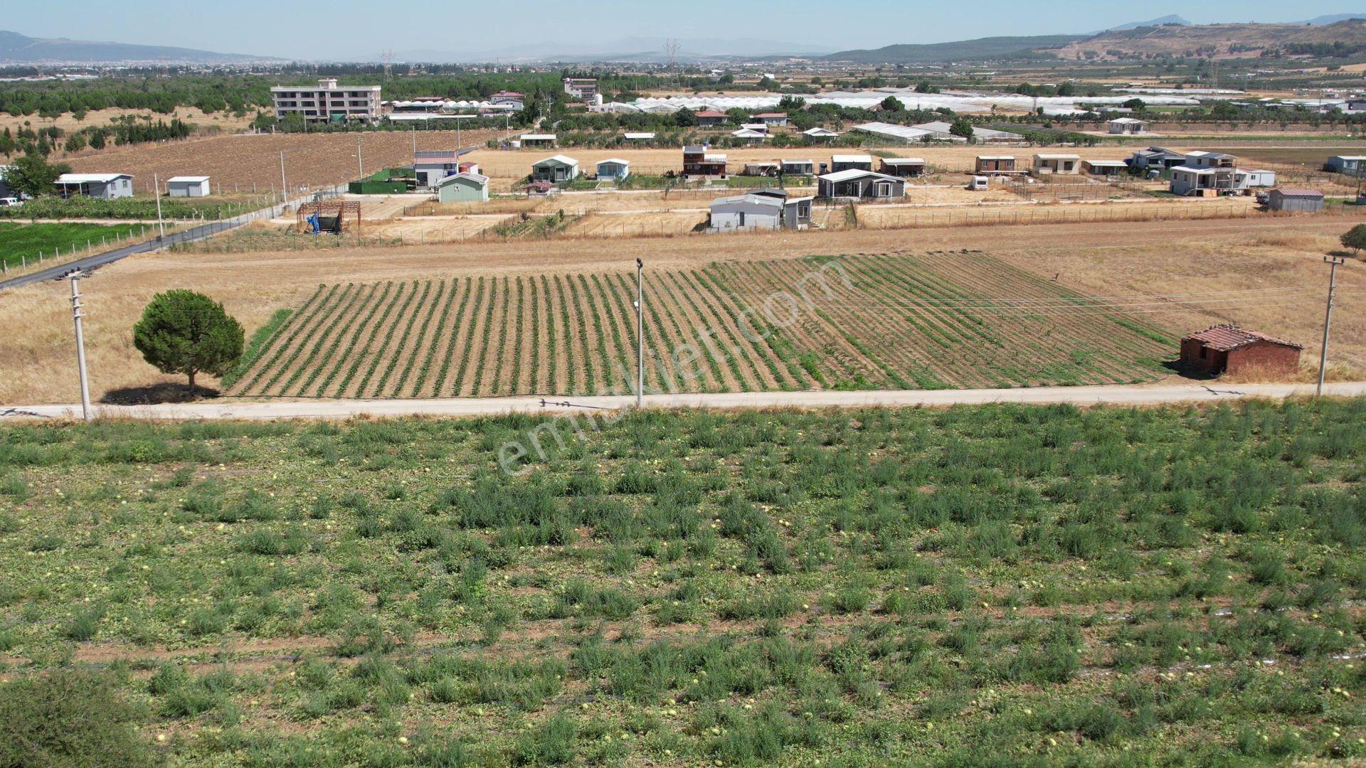 Remax Armadan Hisseli Fiyatına, Tek Tapu 2 Adet Satılık Tarla — fotoğraf 11