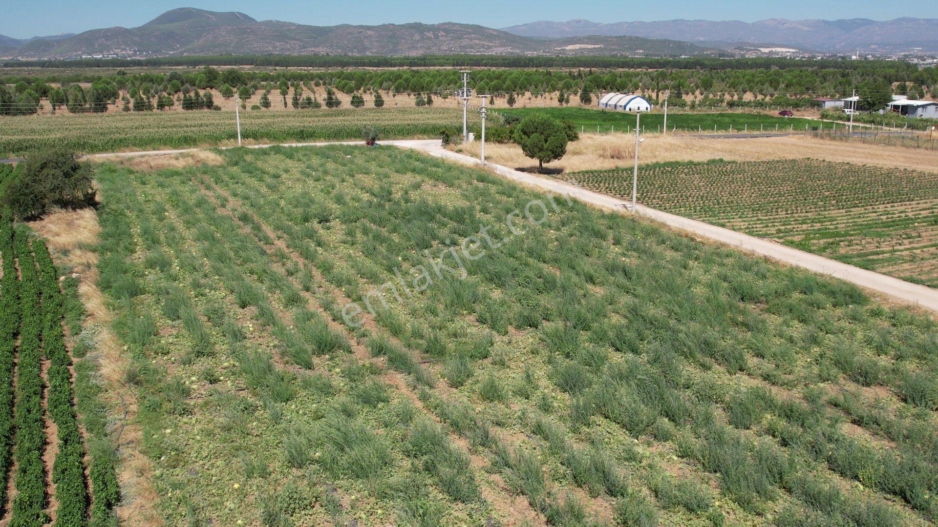 Remax Armadan Hisseli Fiyatına, Tek Tapu 2 Adet Satılık Tarla — fotoğraf 12