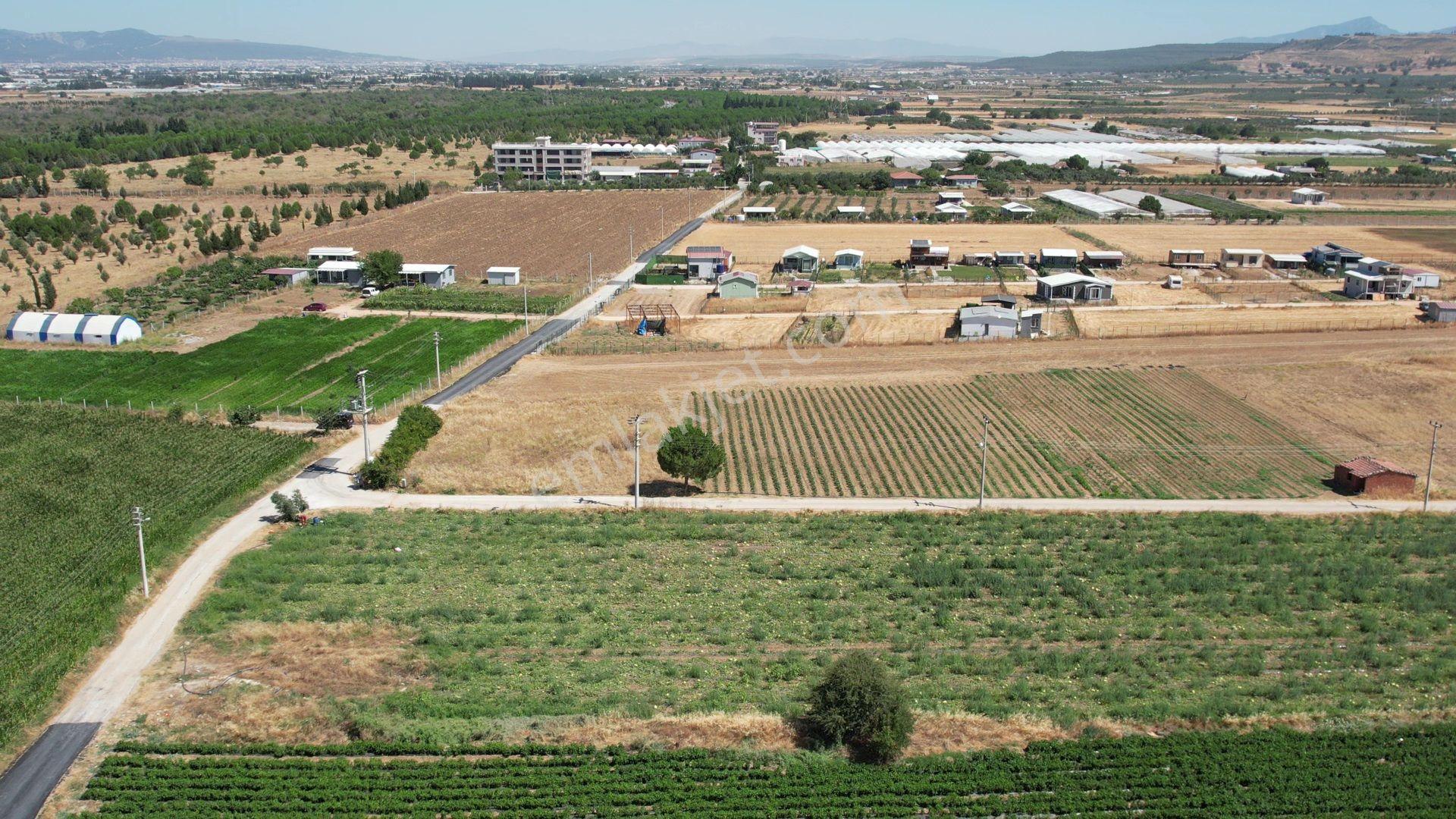 Remax Armadan Hisseli Fiyatına, Tek Tapu 2 Adet Satılık Tarla — fotoğraf 14