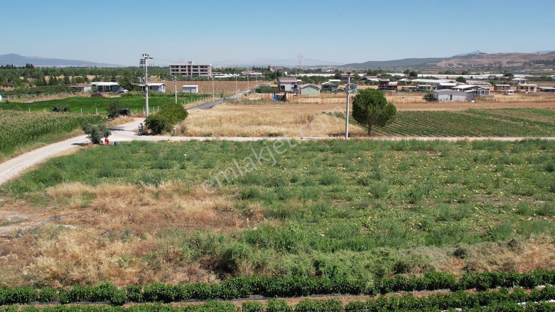 Remax Armadan Hisseli Fiyatına, Tek Tapu 2 Adet Satılık Tarla — fotoğraf 16