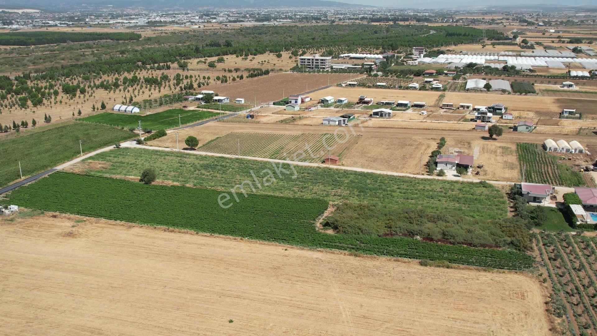 Remax Armadan Hisseli Fiyatına, Tek Tapu 2 Adet Satılık Tarla — fotoğraf 17
