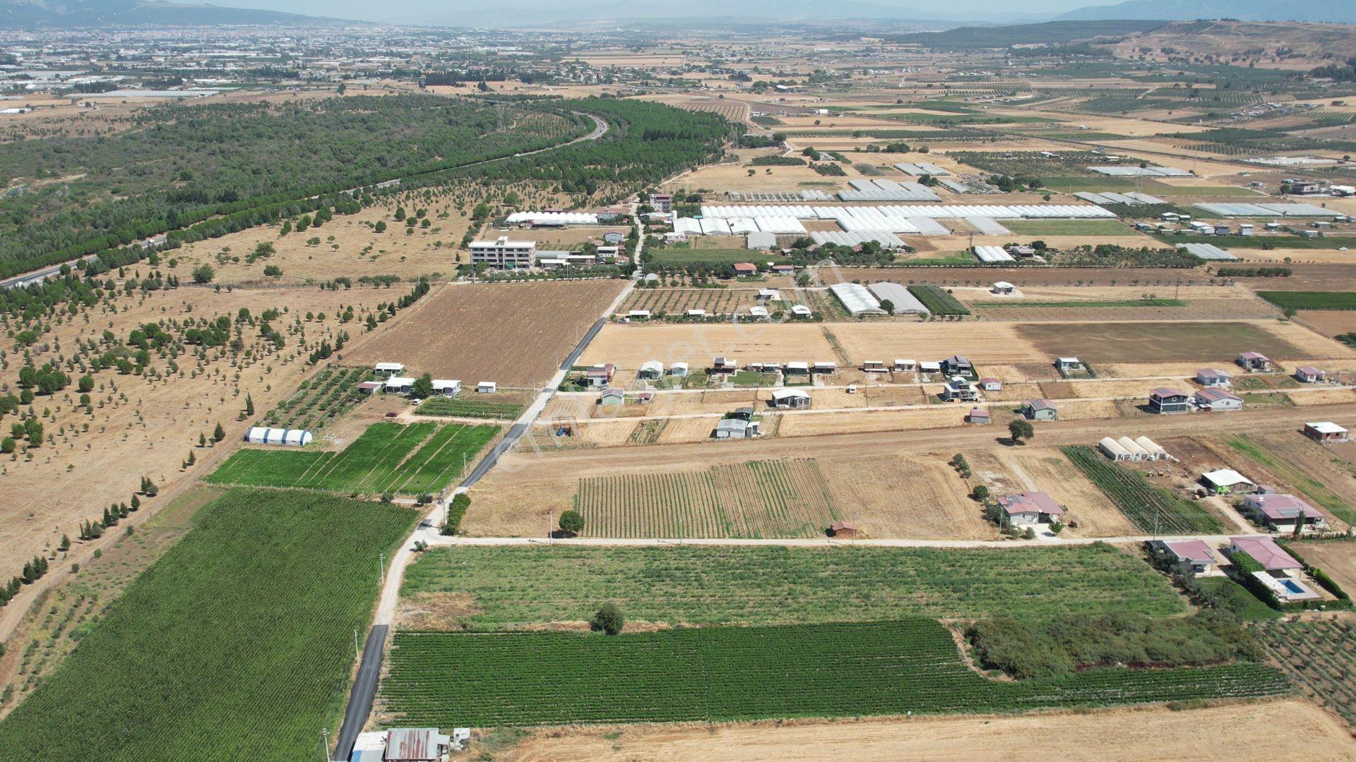 Remax Armadan Hisseli Fiyatına, Tek Tapu 2 Adet Satılık Tarla — fotoğraf 18