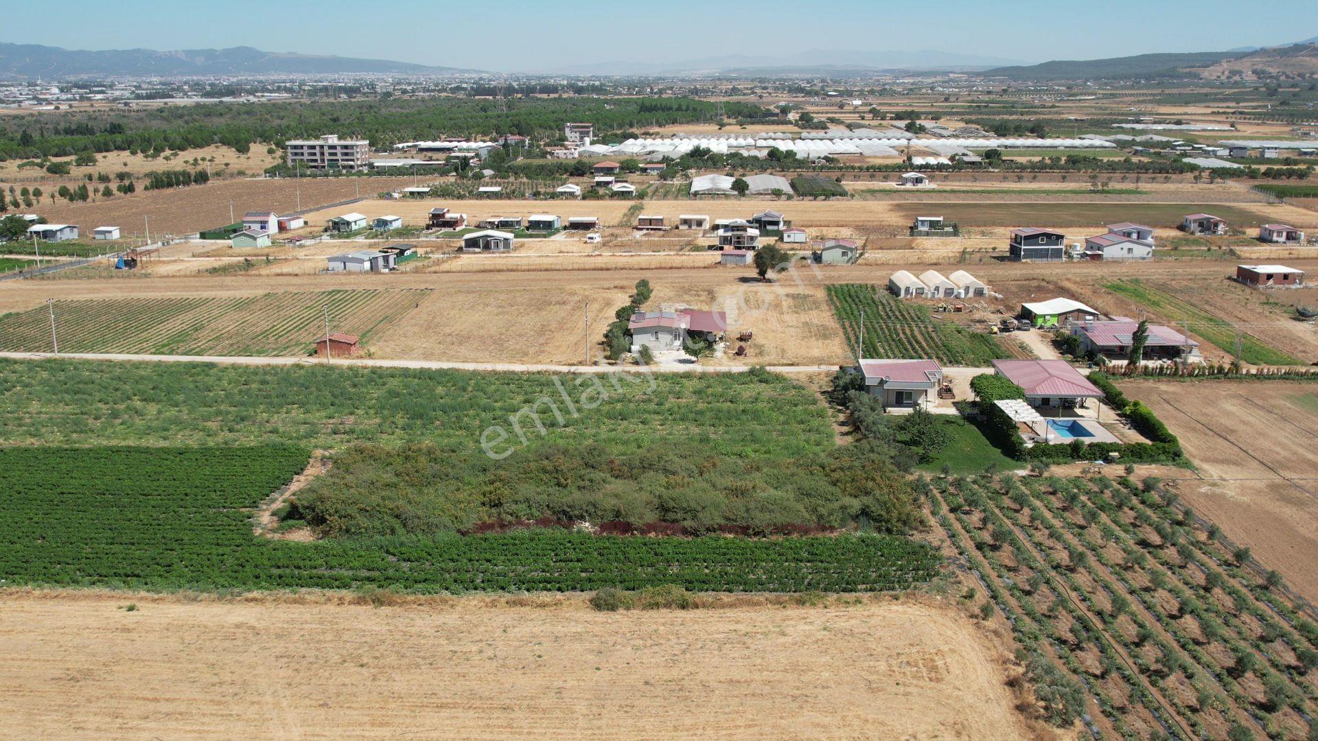 Remax Armadan Hisseli Fiyatına, Tek Tapu 2 Adet Satılık Tarla — fotoğraf 19