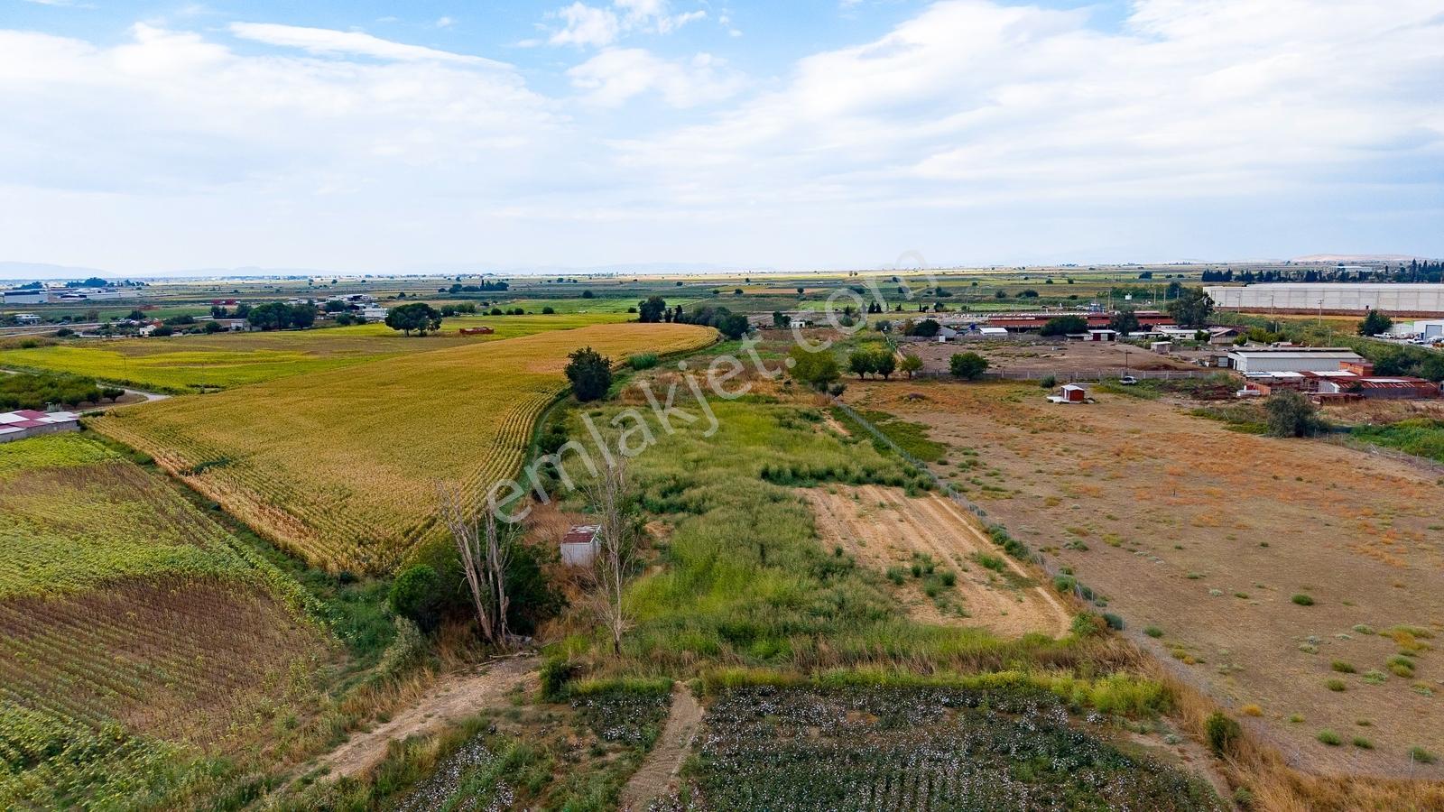 Menemen Ulukent'te Satılık Tarla — fotoğraf 5