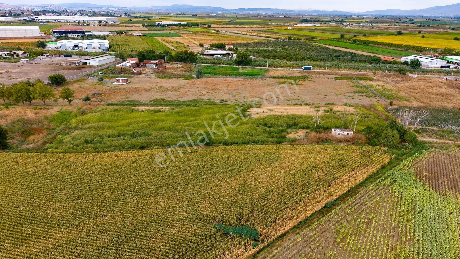 Menemen Ulukent'te Satılık Tarla — fotoğraf 11