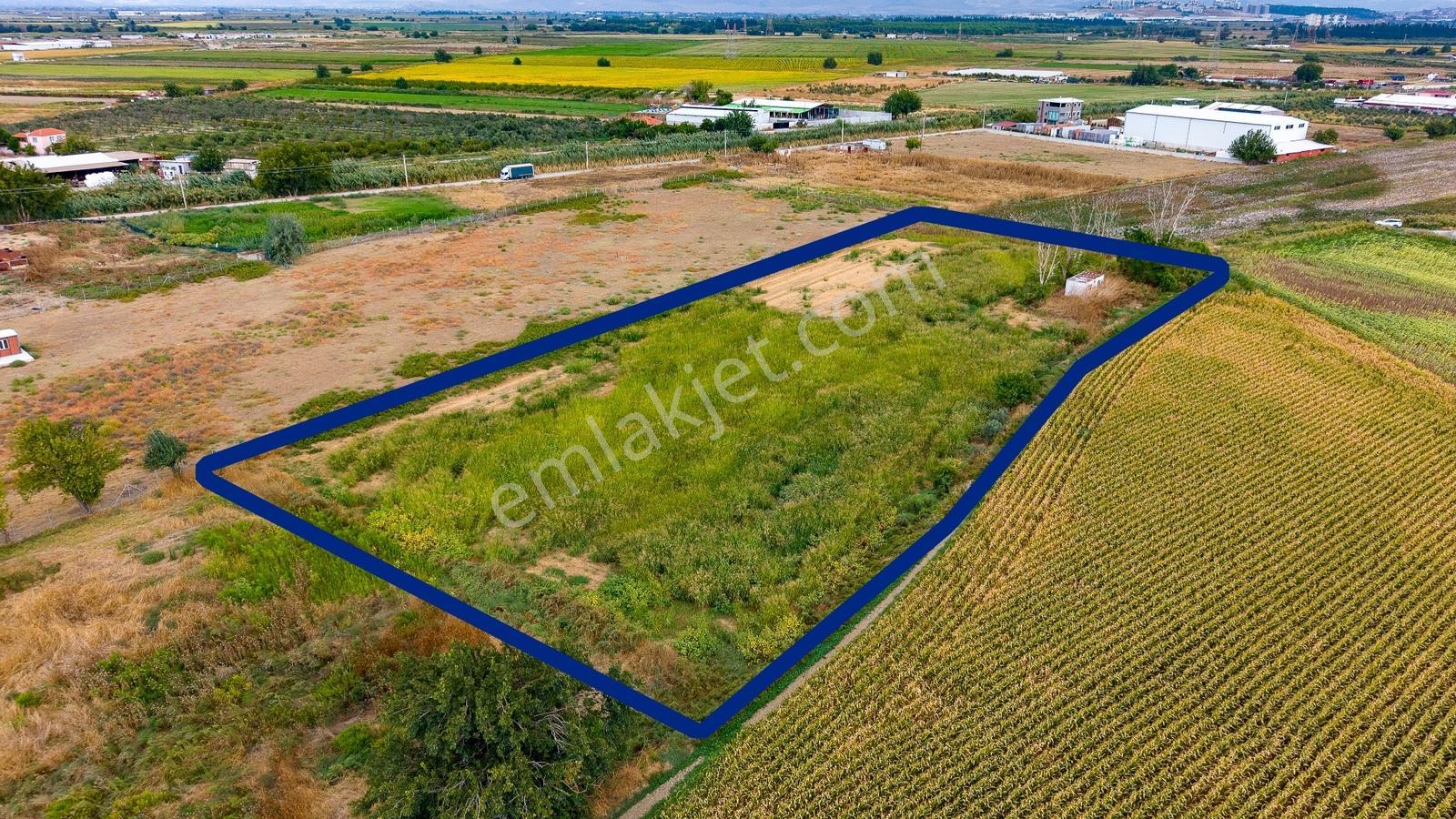 Menemen Ulukent'te Satılık Tarla — fotoğraf 12