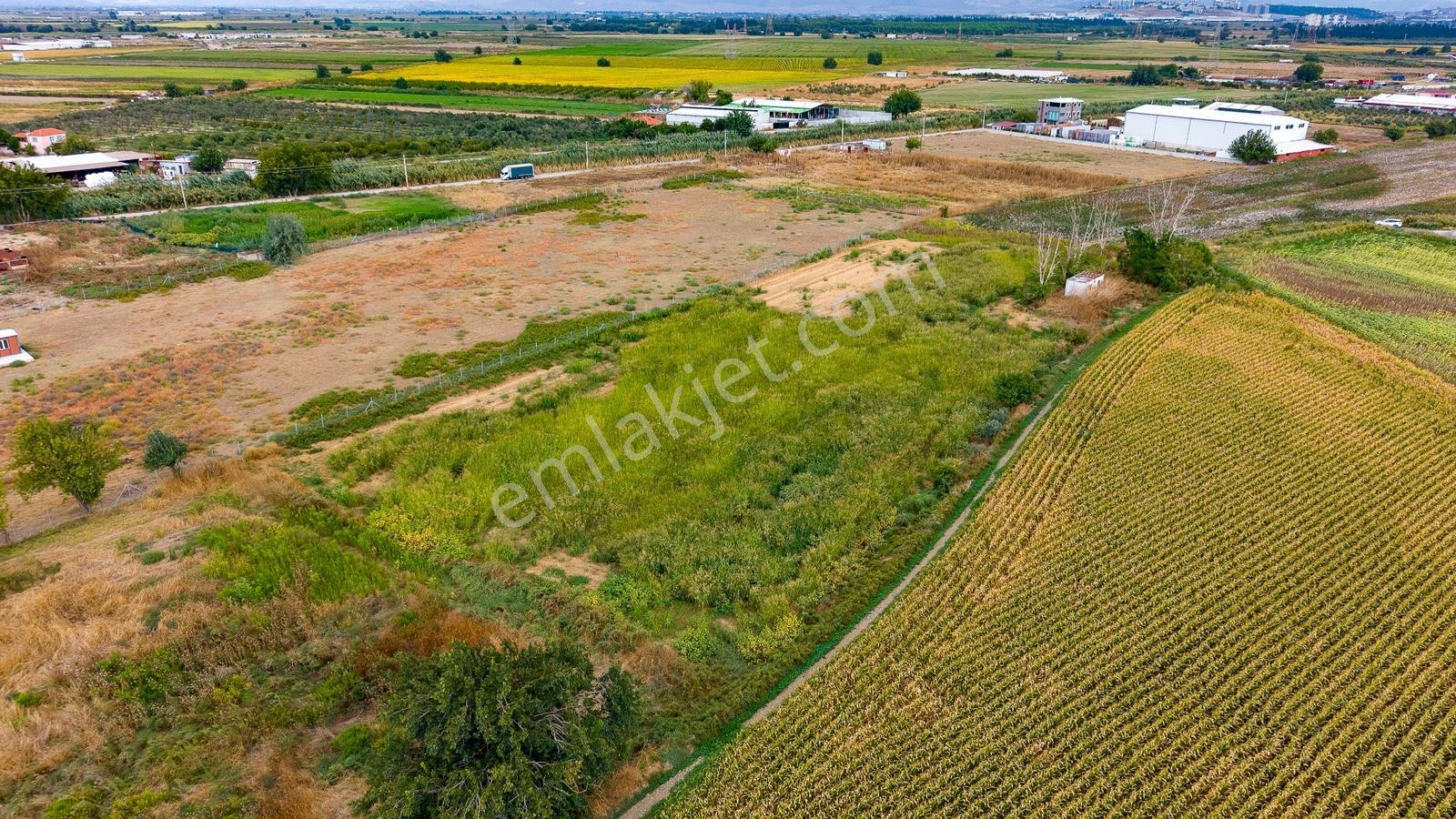 Menemen Ulukent'te Satılık Tarla — fotoğraf 13